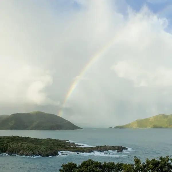 Evolving World Economy in BVI